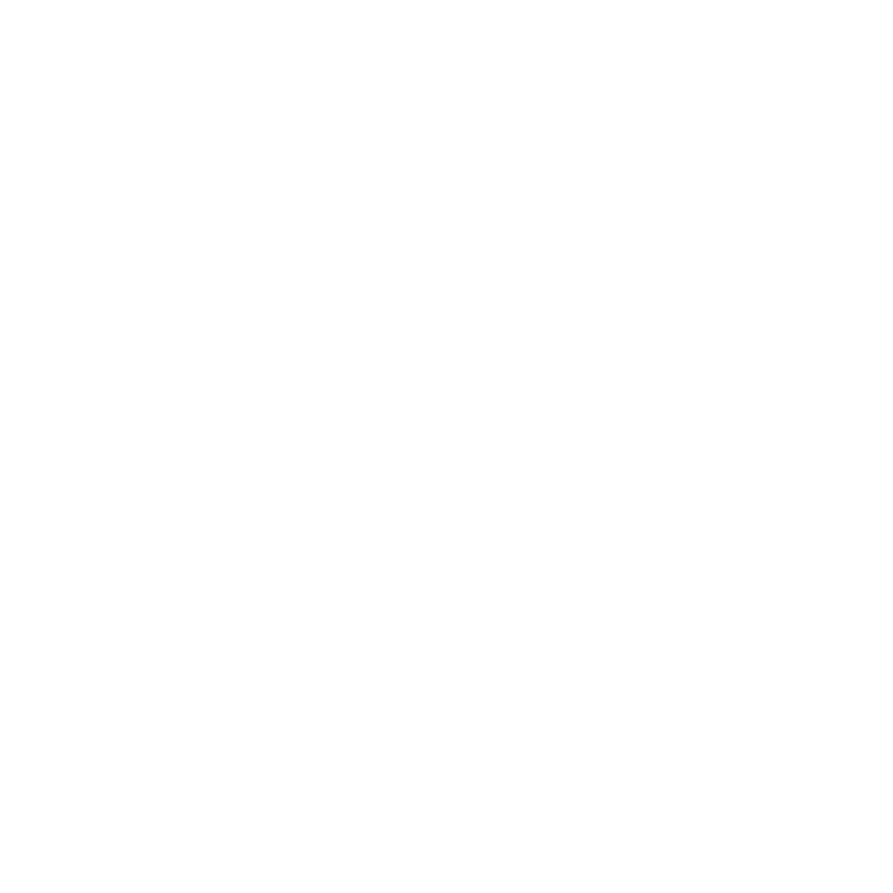 Nimble Consulting logo